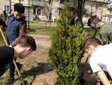 Новому парку - бути!